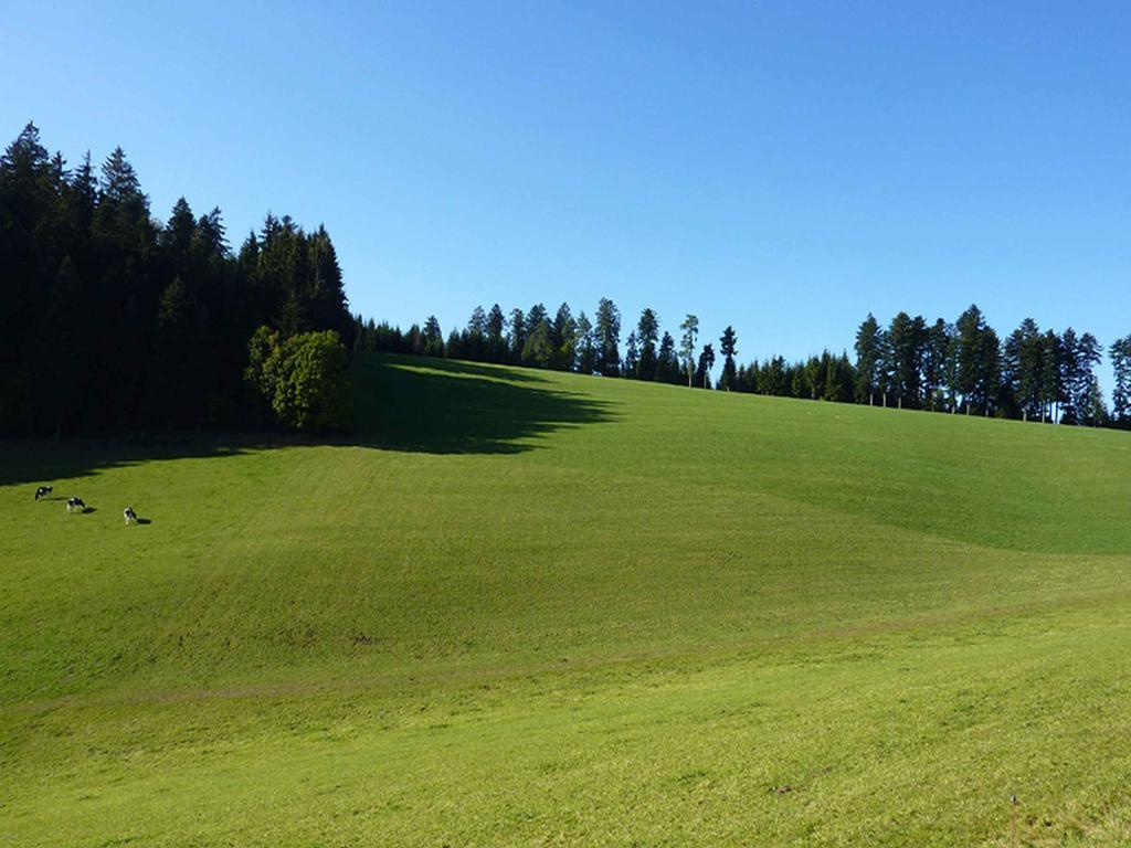 Apartament Haus Harter Wolfach Zewnętrze zdjęcie